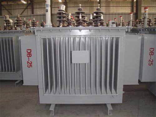 安庆S13-100KVA/10KV/0.4KV油浸式变压器